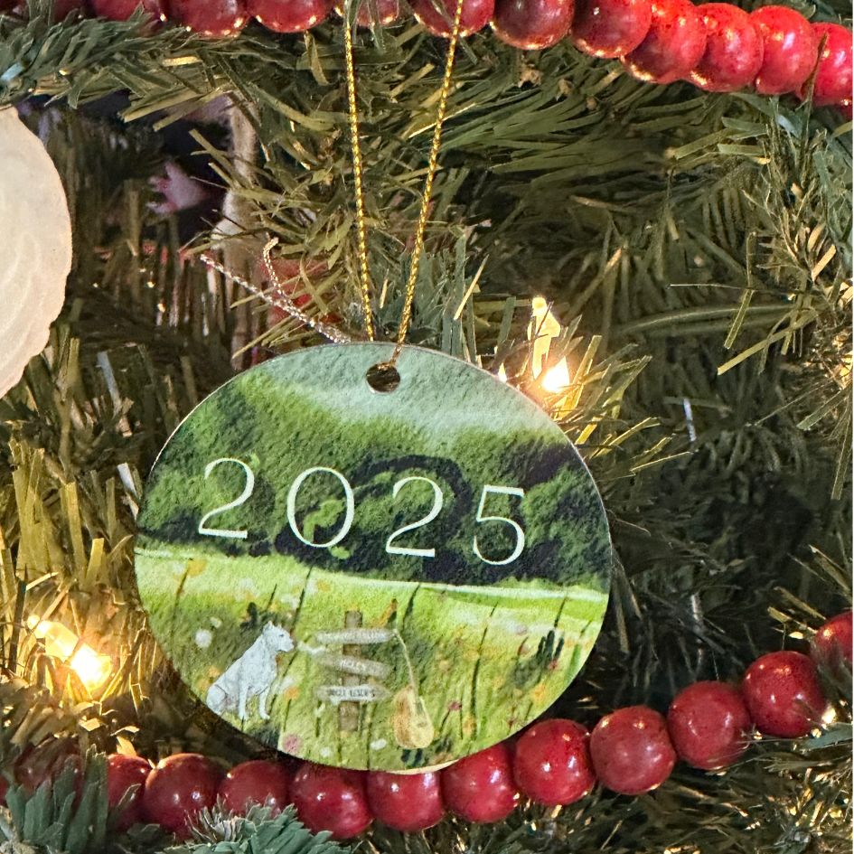 2025 The Ballad of Us Hardcover Edition Christmas Ornament